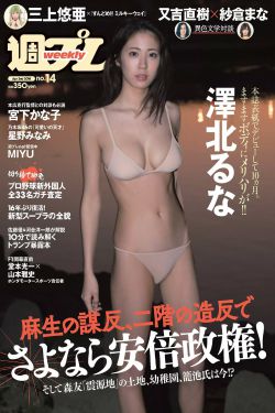 播放电视剧小舍得